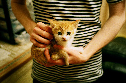 仁川联防守表现提升,仁川联队vsfc首尔