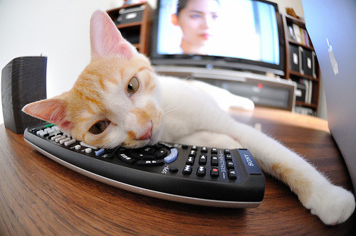 仁川联防守表现提升,仁川联队vsfc首尔