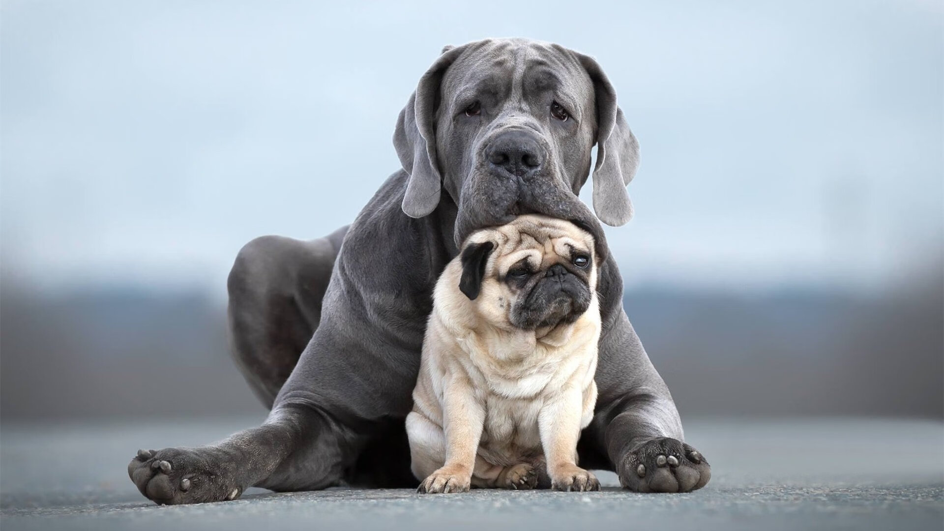【战术布置】马克·塞尔比:用细节控制比赛节奏,马克,塞尔比