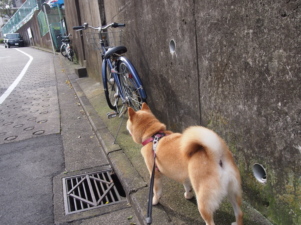 乌拉圭队中场贝尔特拉在巴黎奥运会上展现出强大的进攻组织能力