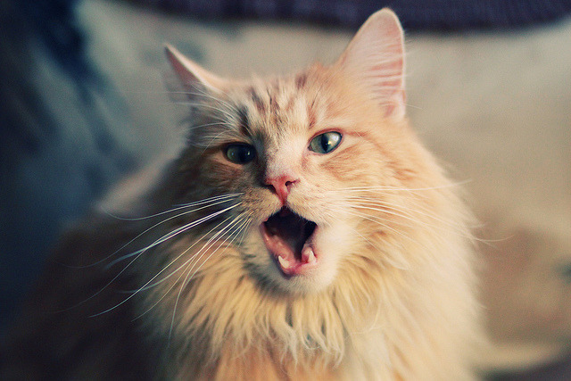 史上最具影响力的“欧冠经典战役”榜单出炉，欧冠经典之战