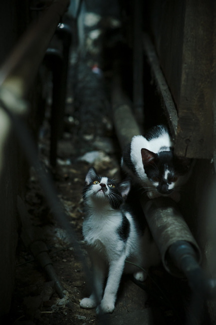 快船在连败后成功“绝地反击”,季后赛形势逐渐明朗!,nba快船绝杀