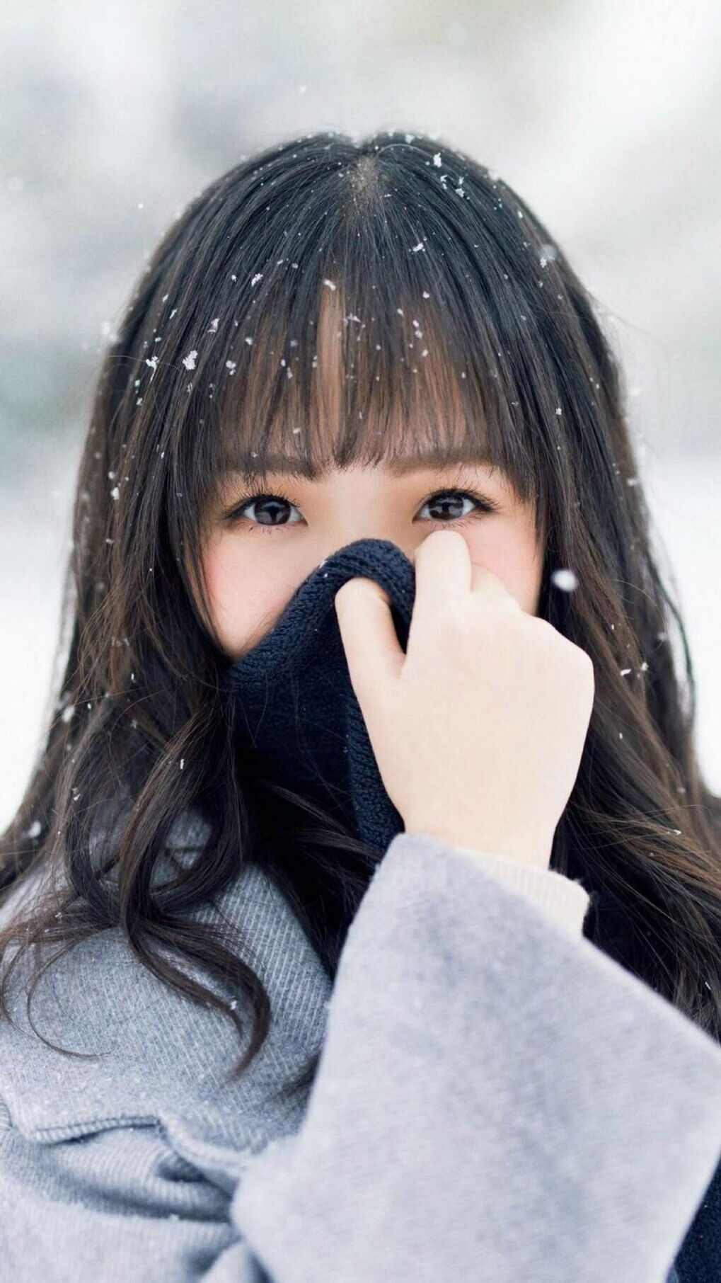 日本马术协会设立青少年马术奖学金,支持优秀学员发展。,日本马术障碍赛