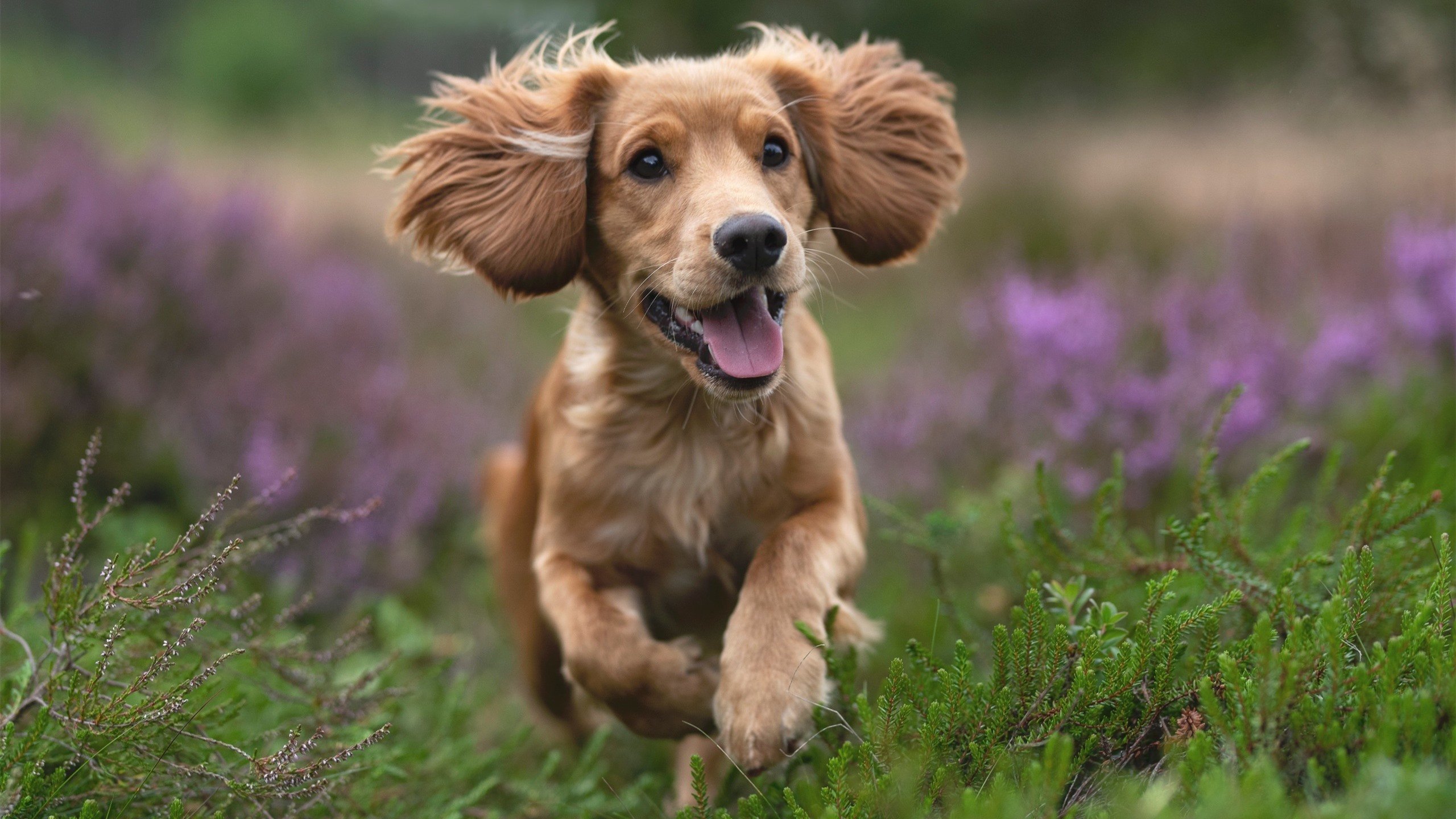 未来联盟：虚拟电竞实时互动，线上线下一体化新玩法，未来 电竞