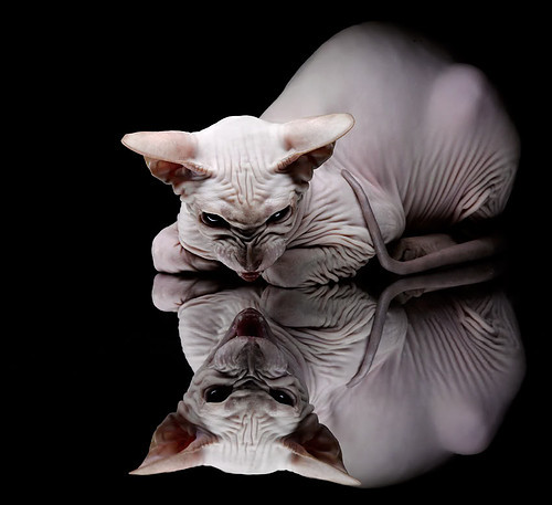 中乙联赛发展是否存在瓶颈亟需突破，中乙联赛发展是否存在瓶颈亟需突破的问题