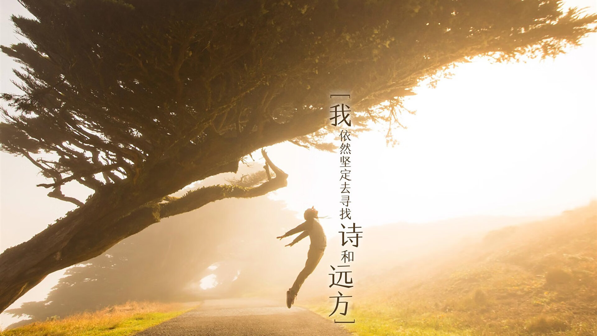 全北现代中场组织节奏流畅，全北现代比赛分析