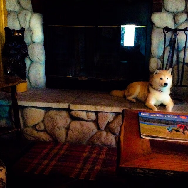 兰斯遭遇困境,连续两场失利引发疑虑,兰斯1百度百科