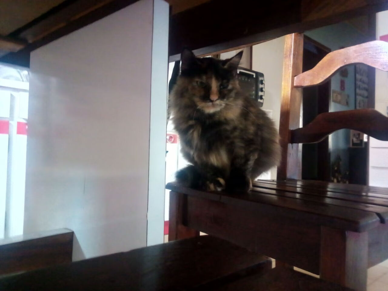 校园体育场馆智能管理与节能技术，体育场馆智慧化建设