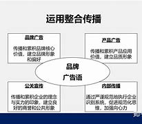 包含"市场营销与品牌塑造：CBA的成功范本"的词条