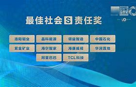 "球星的社会责任：对社区的贡献"的简单介绍